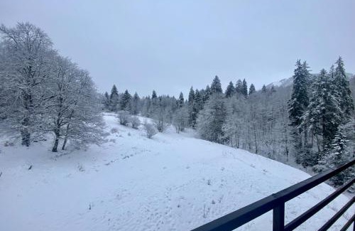 Bakuriani Appartement | Duplex apartment near the forest