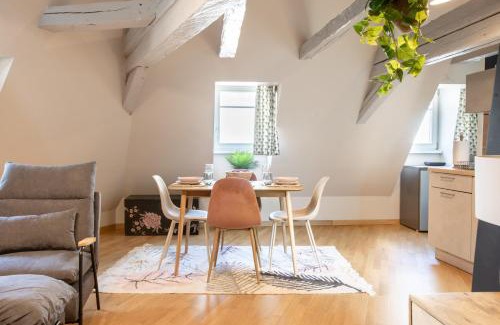 Mulhouse Appartement | Duplex atypique au cœur de Mulhouse
