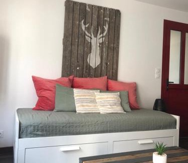 Selles-sur-Cher Appartement | Duplex/Beauval & Châteaux
