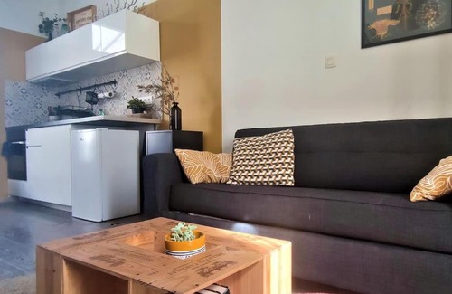 Minimes - Barriere de Paris Appartement | Duplex Canal du Midi