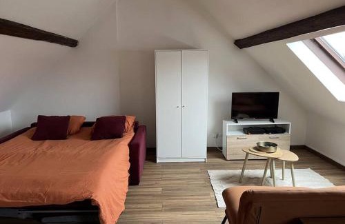 Aulnoy-lez-Valenciennes Appartement | Duplex Caramel Moderne