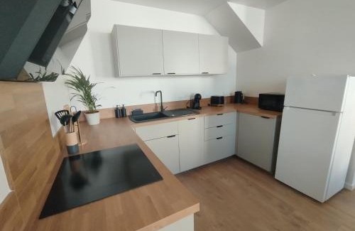 Chenehutte-Treves-Cunault Maison | Duplex en bord de Loire