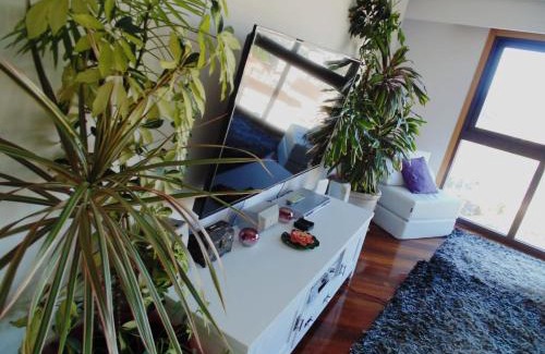 Ourense Appartement | Duplex grandes cristaleras impresionantes vistas