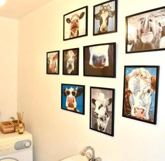 Saint-Lupicin Appartement | Duplex lumineux haut Jura