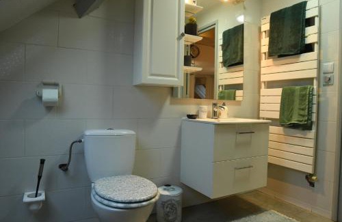 Mulhouse Appartement | DUPLEX SPACIEUX TOUT CONFORT