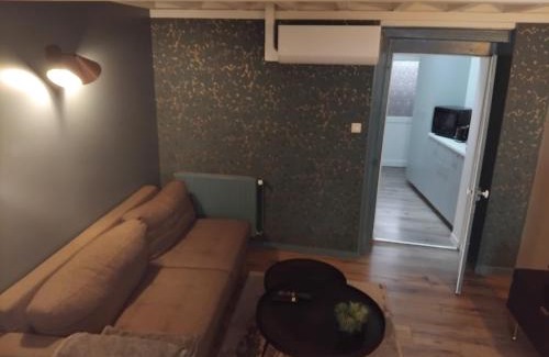 Vienne Appartement | Duplex Viennois