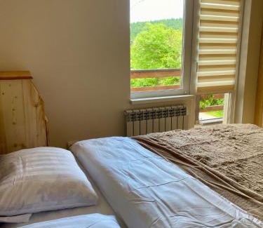 Skole Maison | Dvir