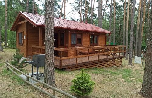 gmina Karsin Maison | DWA DOMKI BORSK