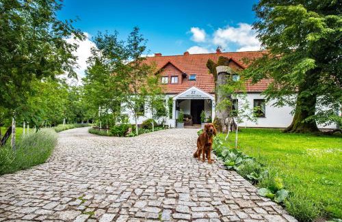 Łobez Maison | Dworek Tradycja
