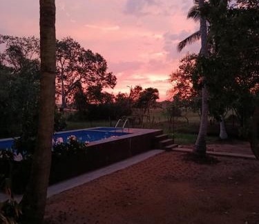 Nochchiyagama Hôtel | Eagle Wilpattu Resort