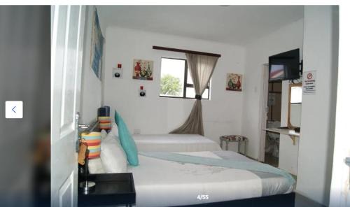 Kokstad Lit Et Petit-Déjeuner | East griqualand Accomodation and Conference