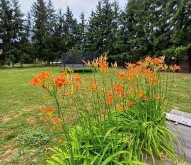 Mozsgo Lit Et Petit-Déjeuner | Ebner Pince - Panzió