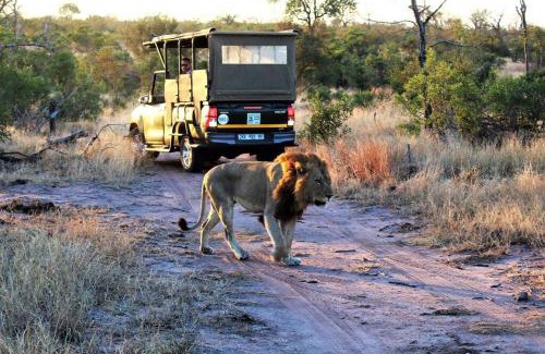 Buffelspruit Maison | Ebony House - Kruger National Park
