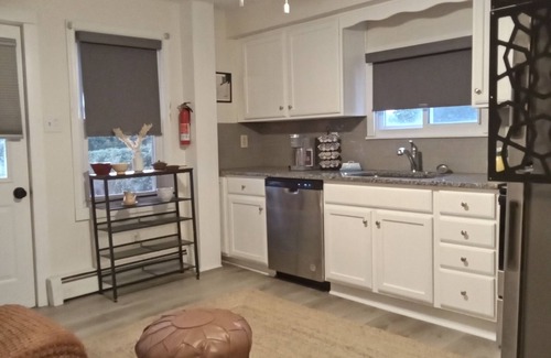 Old Forge Maison | Eclectic Decor 5 Br house, 2 Baths & 2 Kitchens with WiFi and AC in Old Forge
