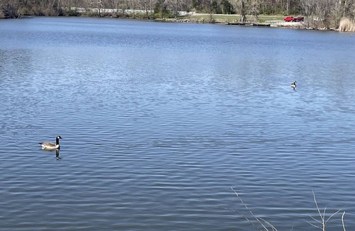 Carbondale Location De VR | Eclipse Campsites Available. Waterfront views