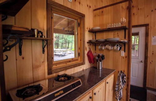 Saint-Etienne-De-Bolto Cabine | Eco-gîte with panoramic view: La Petite Nyctale