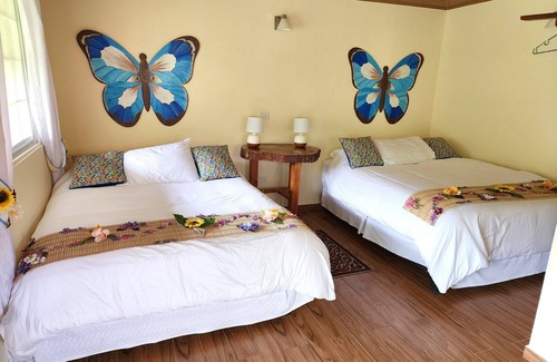 Los Naranjos Lit Et Petit-Déjeuner | Eco resort: Panama's largest butterfly exhibit, native bee and honey farm