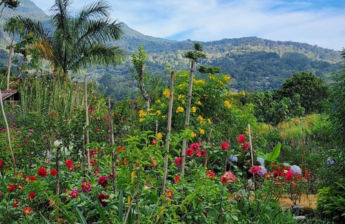 Los Naranjos Lit Et Petit-Déjeuner | Eco resort: Panama's largest butterfly exhibit, native bee and honey farm