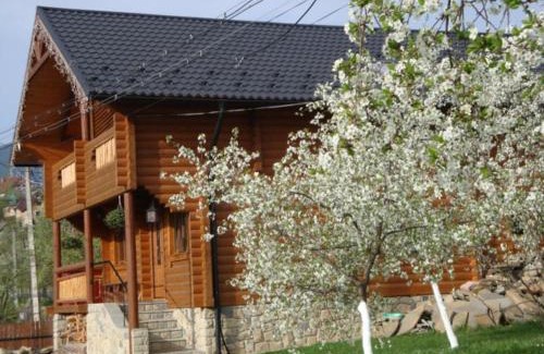 Yaremche Chalet De Ski | Eco Sadyba Familia