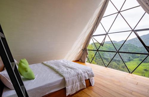 Rattota Hôtel | Eco Vibe Resort