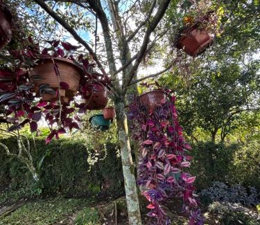 Alajuela Maison | Eco Villas Tambor Tucanes