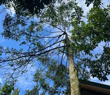 Alajuela Maison | Eco Villas Tambor Tucanes