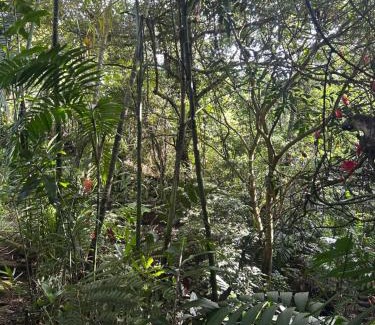 Alajuela Maison | Eco Villas Tambor Tucanes