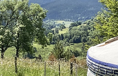 Saint-Antheme Location De VR | Eco Yourte Les Airelles
