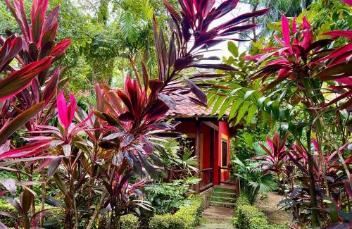 Portalon Lit Et Petit-Déjeuner | Eco Zaru, Experience Authentic Costa Rican Jungle & Ocean Bliss
