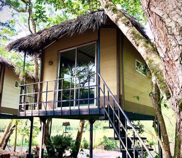 Utica Autre | ECOCAMPING JACAMAR