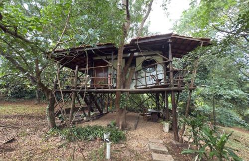 Sao Pedro Cabine | Ecocentro Brasil - Bangalô Flamboyant