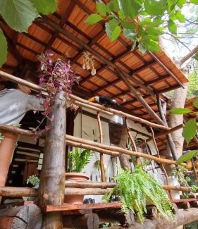 Sao Pedro Cabine | Ecocentro Brasil - Bangalô Flamboyant