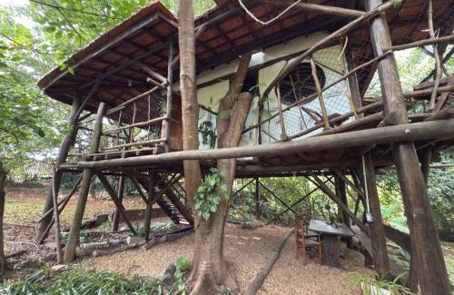 Sao Pedro Cabine | Ecocentro Brasil - Bangalô Flamboyant