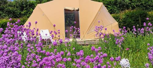 Westouter Autre | Ecochique