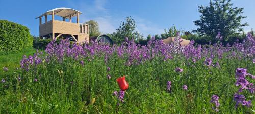 Westouter Autre | Ecochique