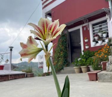 Kaul Appartement | EcoEscape Mukteshwar