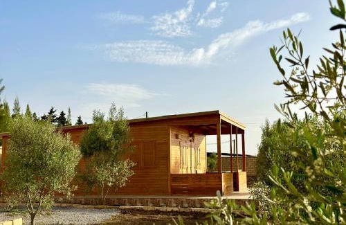 Fdalate Chalet De Ski | Ecolodge Vert, Benslimane