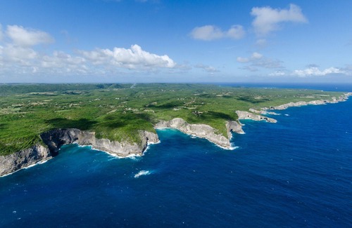Baie-Mahault Cottage | Ecological lodge in the heart of nature