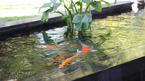 Komatipoort Hôtel | Ecolux Boutique Hotel