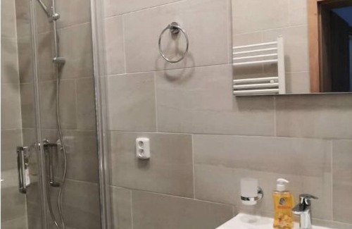Petrska ctvrt Appartement | Economic group apartment with single beds