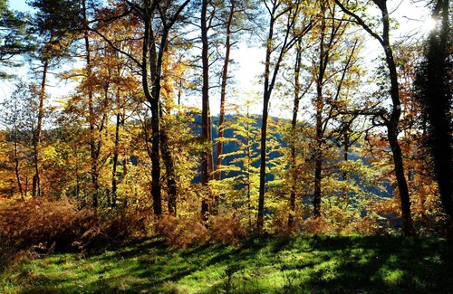 Saint-Yrieix-le-Dejalat Maison | ECOPARC des MONEDIERES