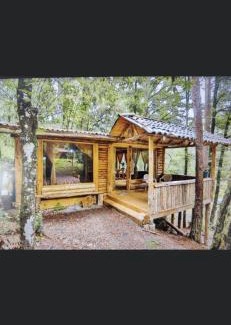Acaxochitlan Appartement | ecoturístico montaña viviente , CABAÑA CHALCHOAPAN