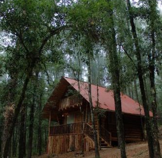 Acaxochitlan Appartement | ecoturístico montaña viviente , CABAÑA CHALCHOAPAN