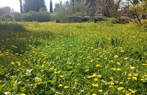 Lunel Maison | Ecoutez les oiseaux