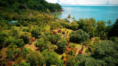 Drake Bay Maison | Eden Corcovado