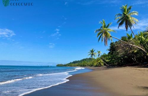 Drake Bay Maison | Eden Corcovado