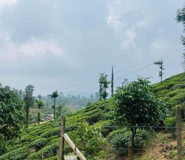 Valparai Hôtel | Edenvilla