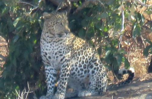 Marloth Park Maison | Edjami Lodge