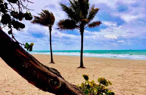 Hendricks and Venice Isles Maison | Efficiency 2 on water las olas/beach free kayaks
