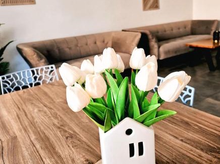 Steinsfurt Appartement | Eibauer Apartments